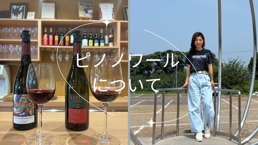 ワイン好きが最終的に辿り着く?ピノ・ノワールの魅力を初心者にも分かりやすく解説!