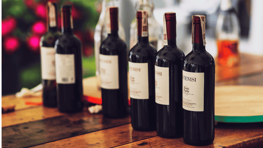 名古屋で楽しむワインバーの魅力と選び方