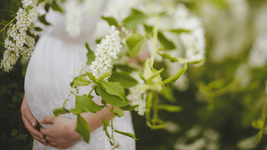 ドリンクとしてのワインクーラー