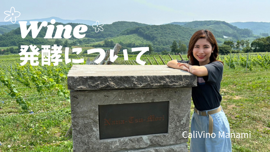 ワインの発酵方法を徹底解説:初心者向けガイド