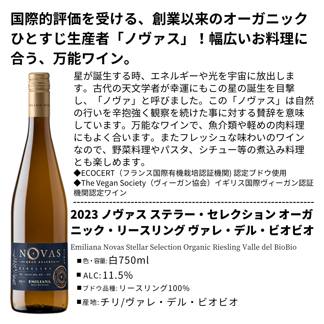 パーティにおすすめ!チリナチュール飲み比べ6本セット