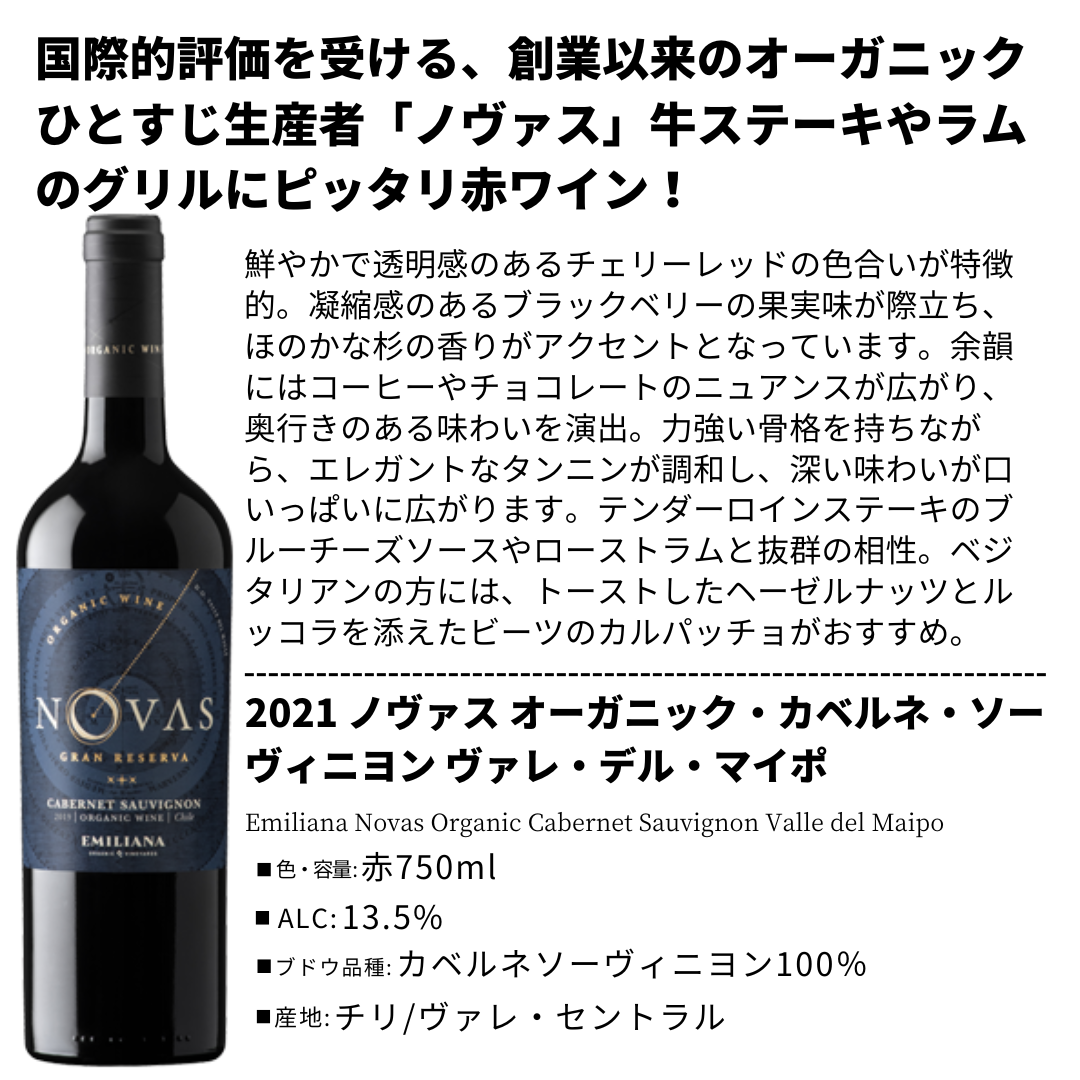 パーティにおすすめ!チリナチュール飲み比べ6本セット