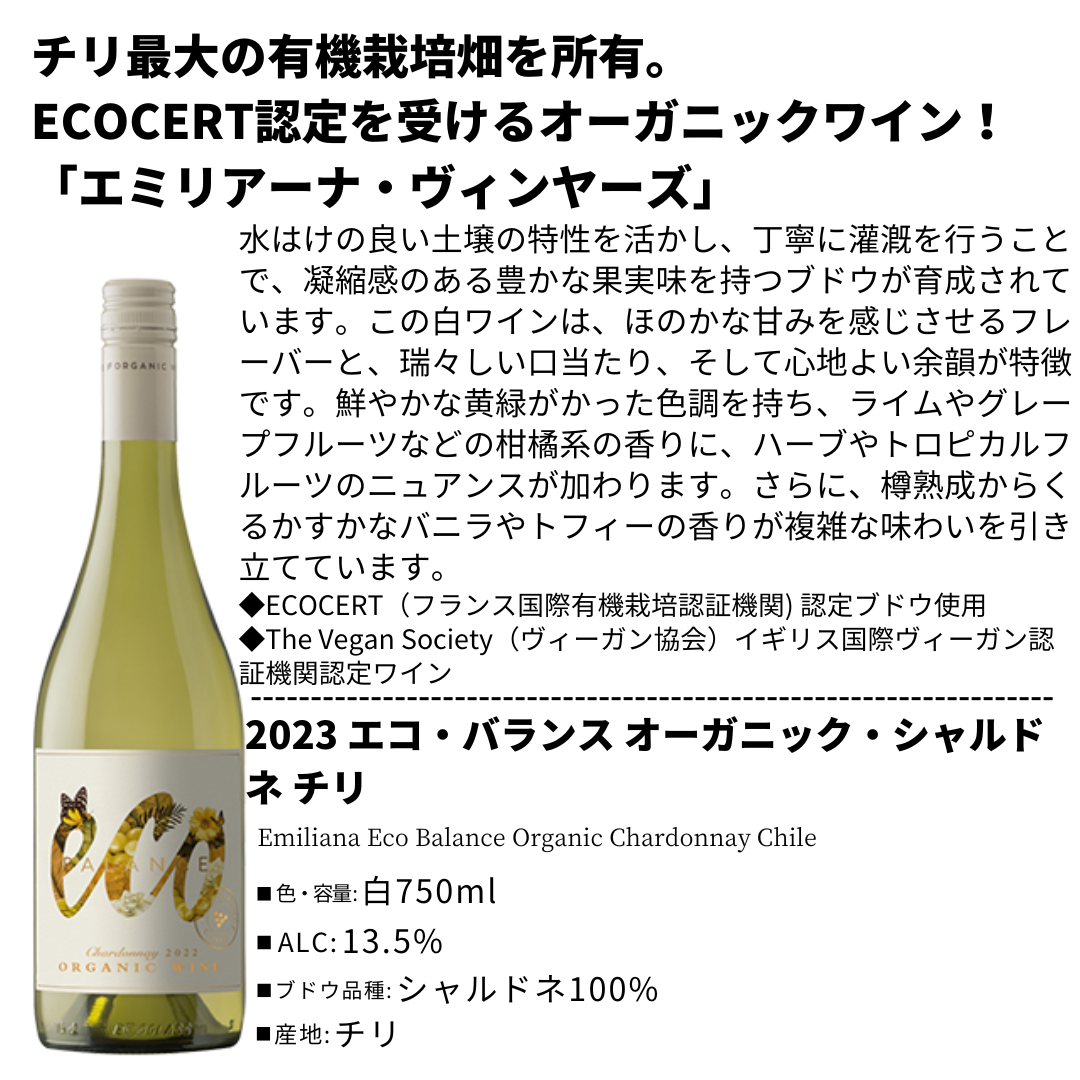 パーティにおすすめ!チリナチュール飲み比べ6本セット