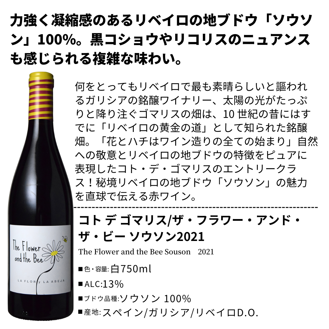 世界が注目する作り手の「ヨーロッパ自然派ワイン」4本セット