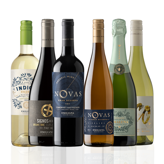 パーティにおすすめ!チリナチュール飲み比べ6本セット