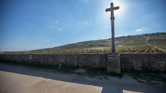 「いつか味わいたい夢の一杯：ロマネ・コンティの真髄」