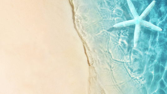 夏の冷たさと爽快感を楽しむワイン