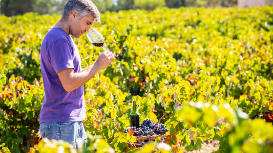 【なぜワインには価値があるのか？】その一杯に詰まった“目に見えない贅沢”を考える