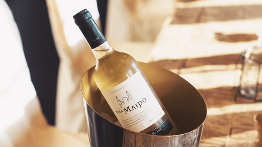 シャルドネとは？ 白ワインの王道品種の基本知識