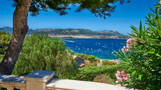 太陽の恵みをボトルに♡南仏ワインの魅力とは？