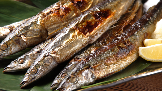 秋刀魚（さんま）の塩焼きに合うワインはどれ？生臭くならない赤・白・泡の選び方