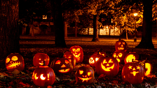 ハロウィンパーティーで映えるワイン選び！かぼちゃ料理に合うおすすめボトル