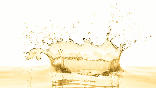 【知る人ぞ知る爽快ワイン】バスク地方のチャコリとは？