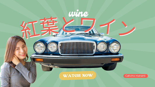 紅葉とワイン - ナパバレーの秋景色を楽しむドライブコース