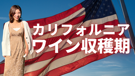 カリフォルニアの収穫期 - ワイナリーツアーの魅力