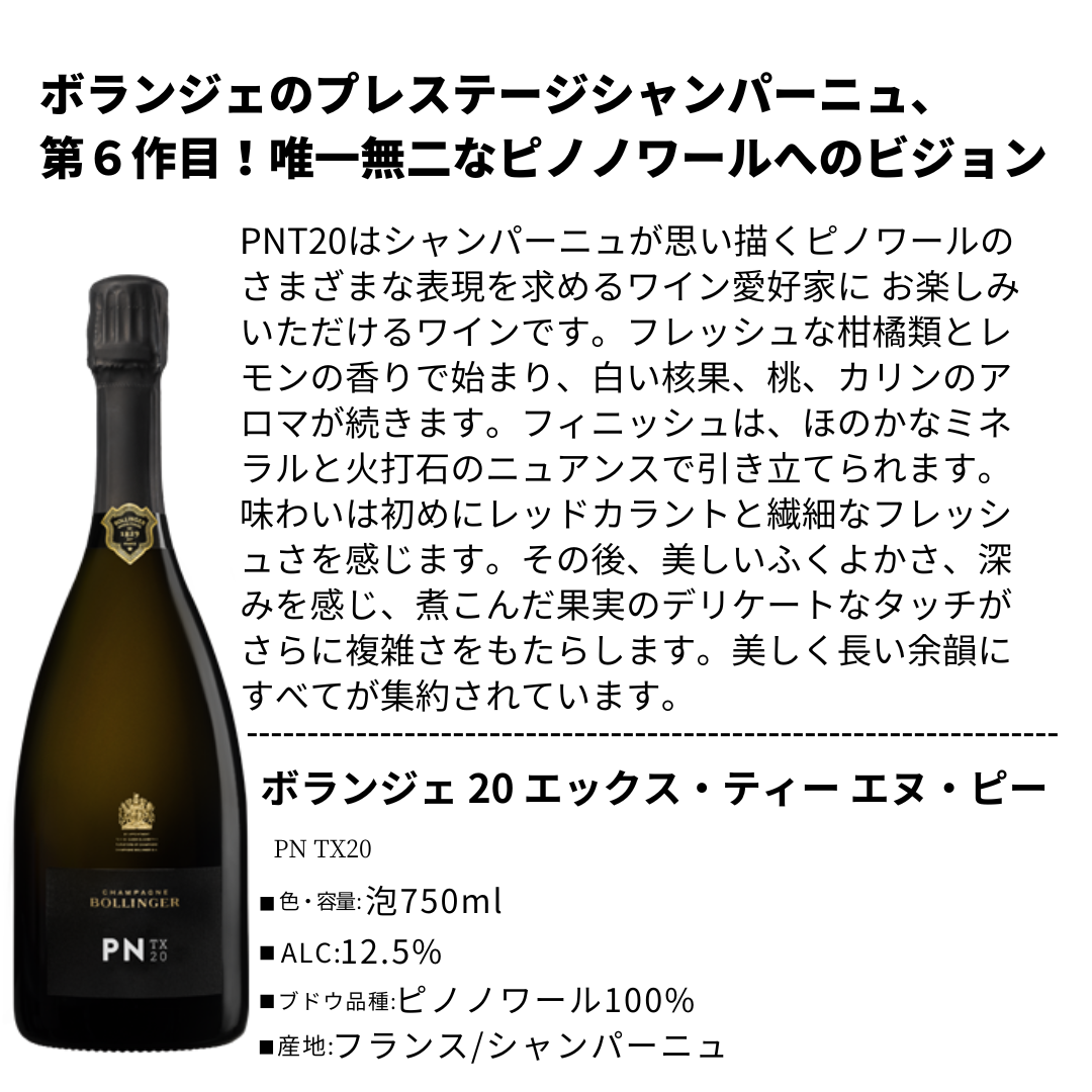 PN TX20(ピー・エヌ ティー・エックス 20